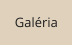 Gal�ria
